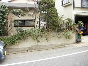 �r�t�H�[�A�t�^�[